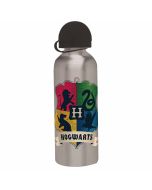 Cantimplora Harry Potter 500 ml plateada