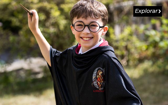 comprar disfraces harry potter